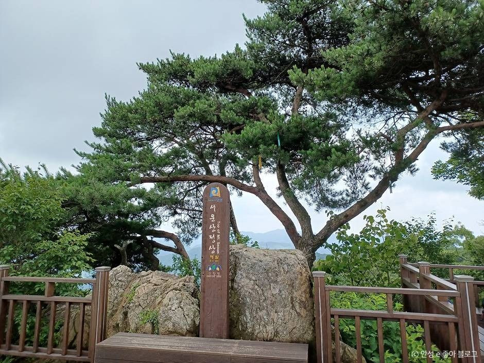 서운산 여행 추천 - 로드트립
