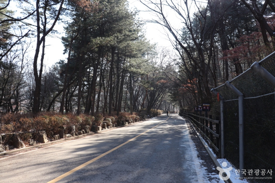 관악산자연공원 여행 추천 - 로드트립