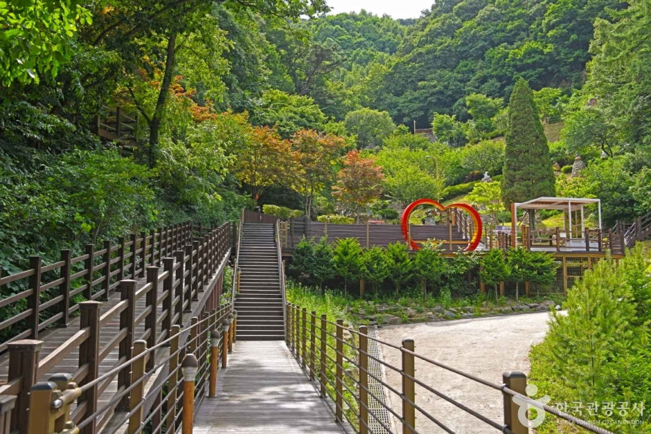 증평 좌구산 명상구름다리 여행 추천 - 로드트립