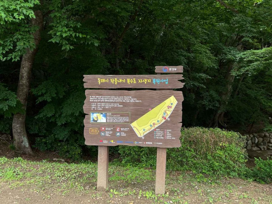 냉천공원 여행 추천 - 로드트립