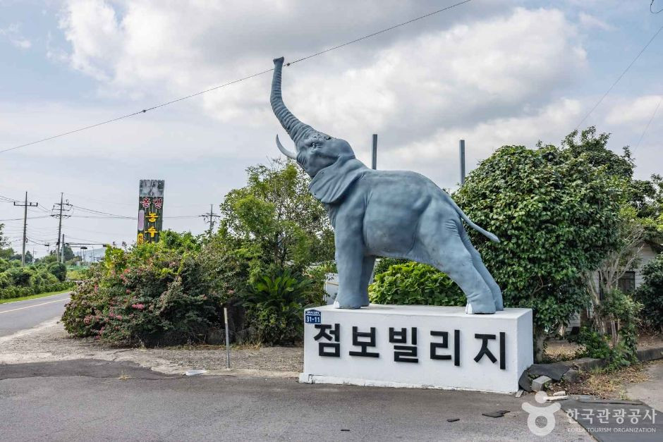 점보빌리지 여행 추천 - 로드트립