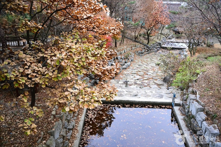 흑석산 자연휴양림 여행 추천 - 로드트립