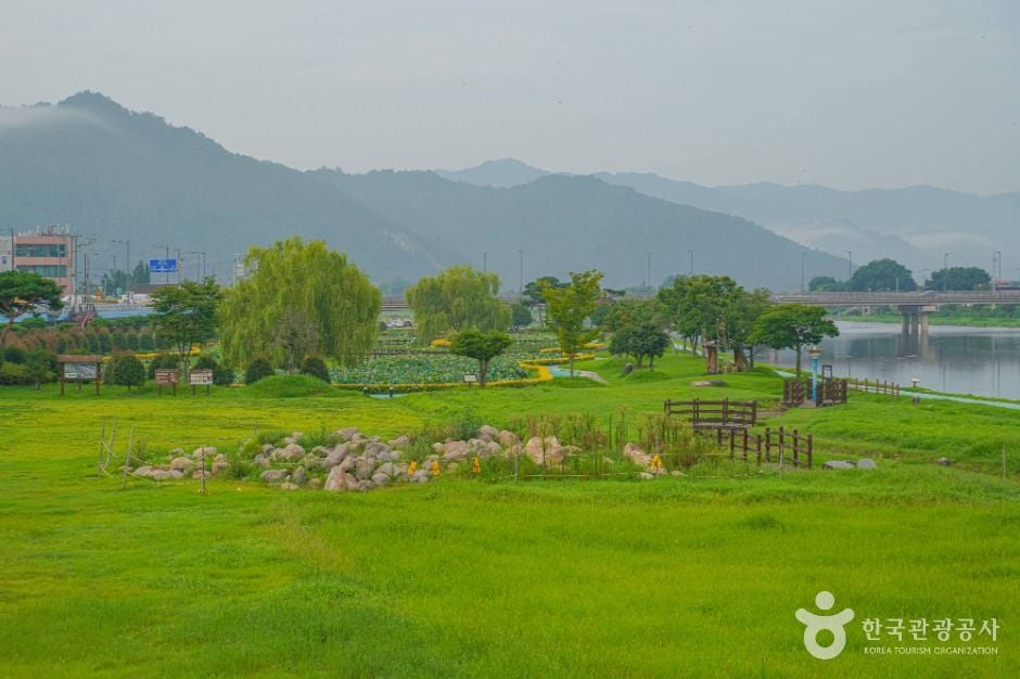 탐진강 여행 추천 - 로드트립