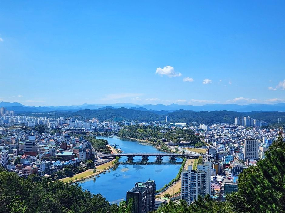 선학산전망대 여행 추천 - 로드트립