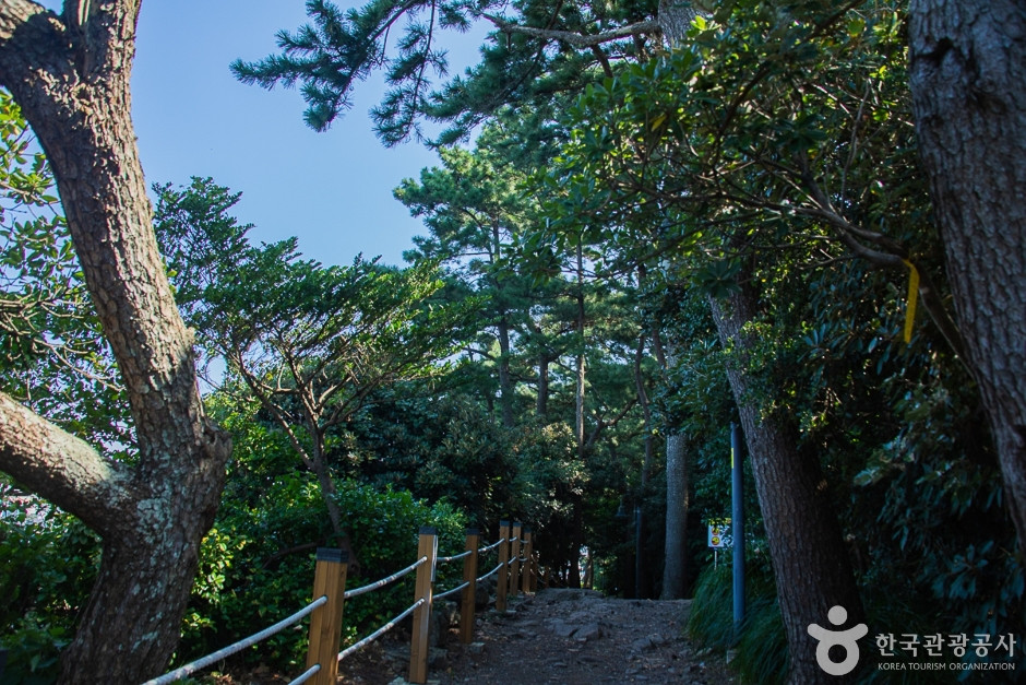서귀포해양도립공원 여행 추천 - 로드트립