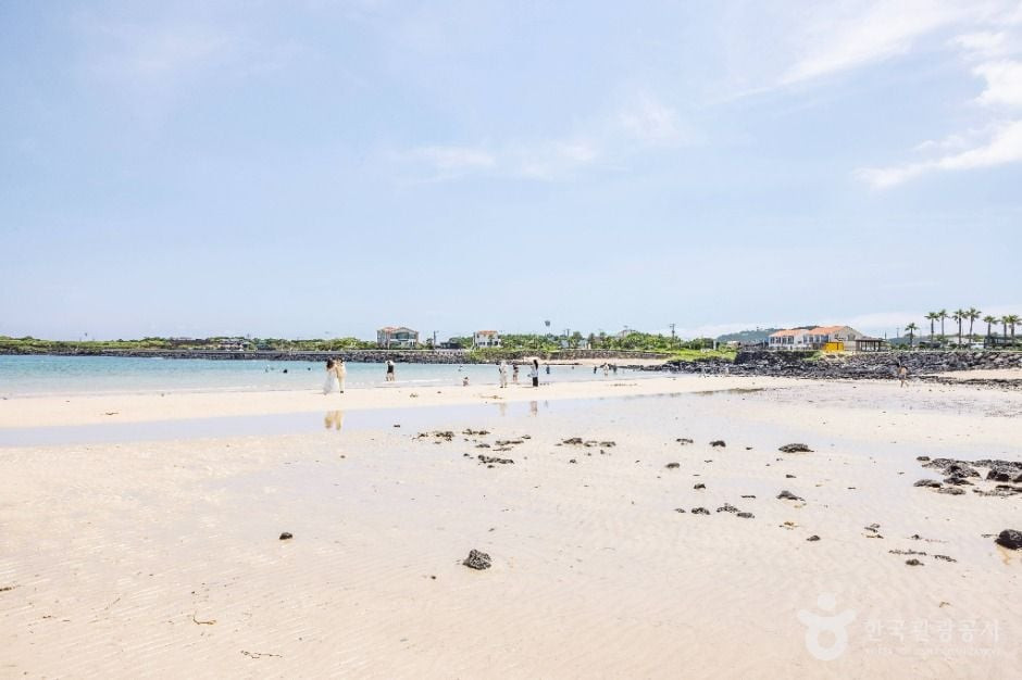 하고수동해변 여행 추천 - 로드트립