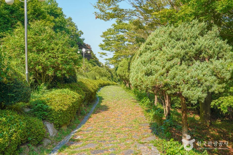 숲쟁이공원 여행 추천 - 로드트립