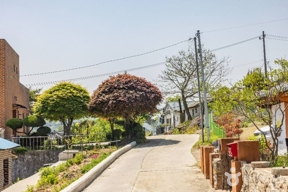 면천읍성 골목길 여행 추천 - 로드트립