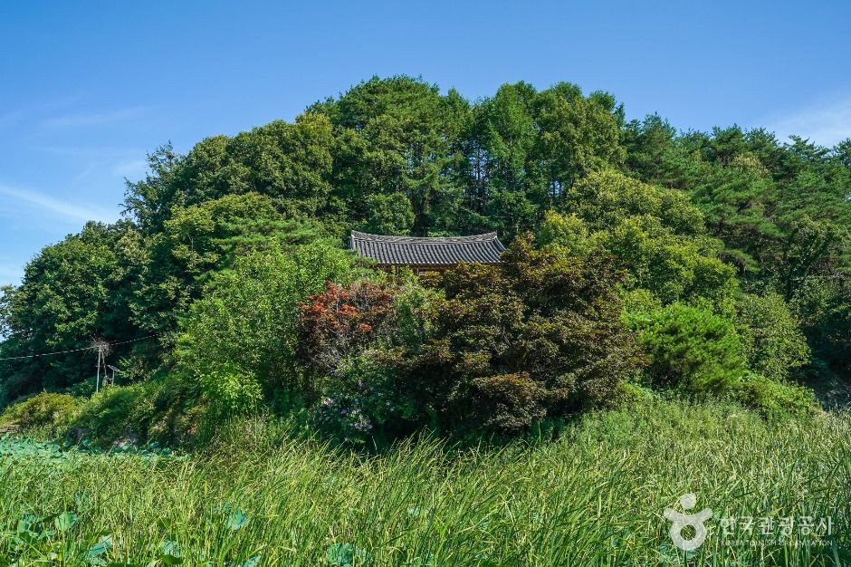 예천권씨 병암정 및 별묘 여행 추천 - 로드트립