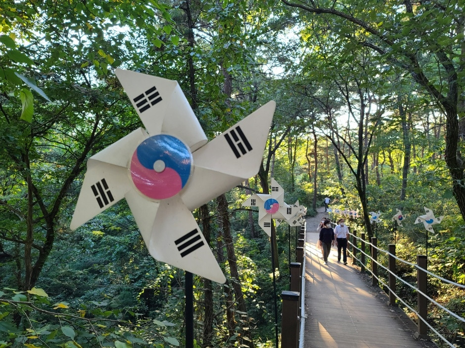 한반도지형(강원고생대 국가지질공원) 여행 추천 - 로드트립