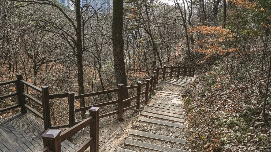 팔룡산 돌탑공원 여행 추천 - 로드트립