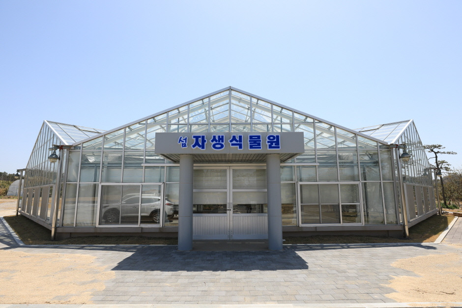 천사섬 분재공원 여행 추천 - 로드트립