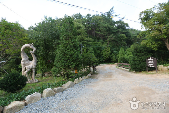 횡성자연휴양림 여행 추천 - 로드트립