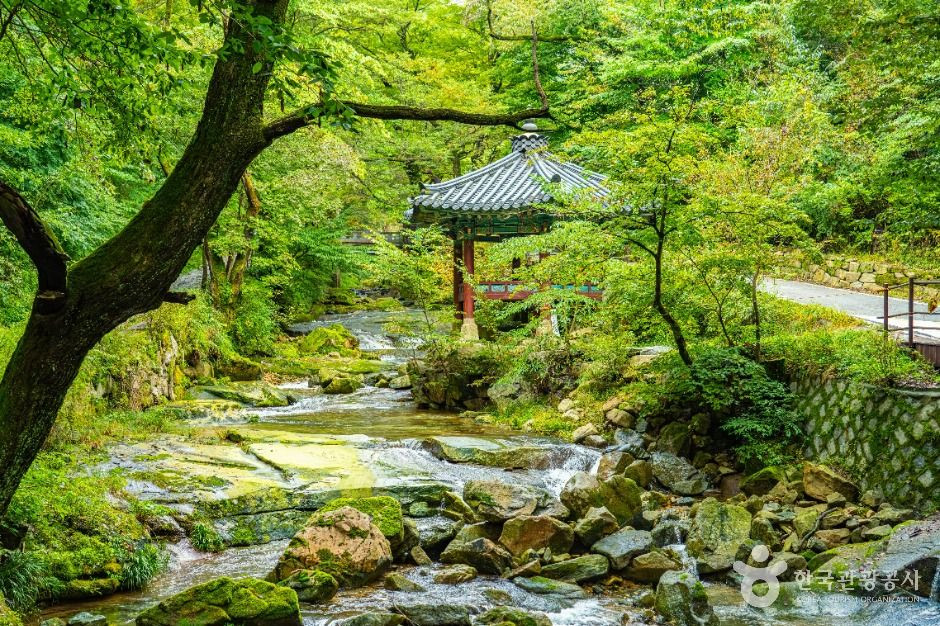 동학사(공주) 여행 추천 - 로드트립