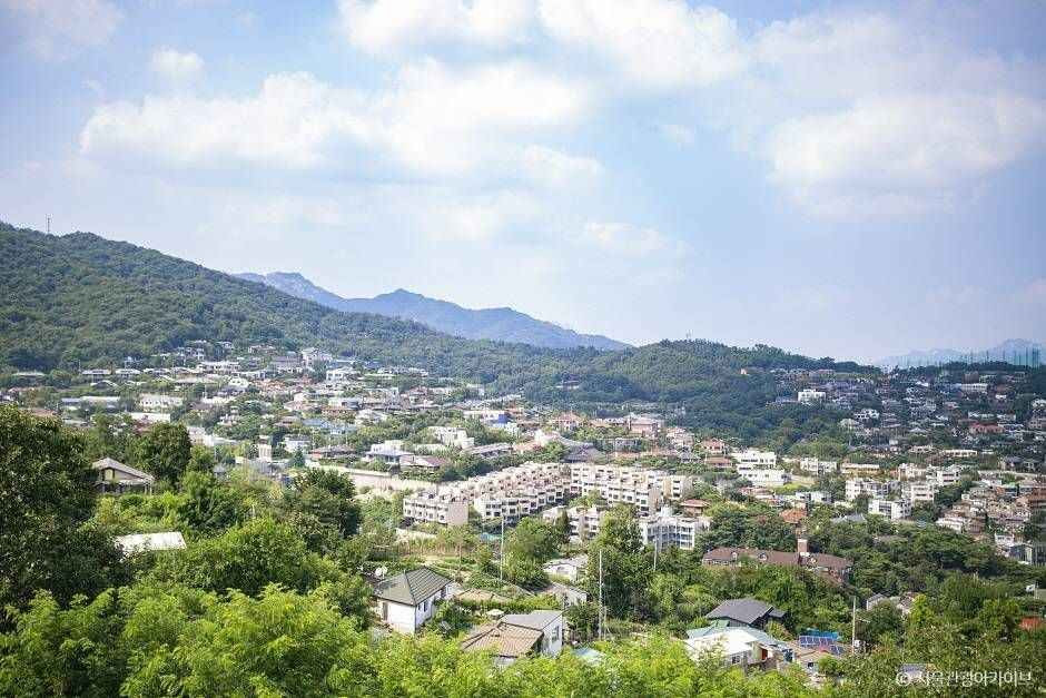 와룡공원 여행 추천 - 로드트립
