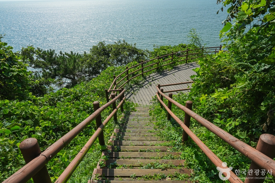 두여 전망대 여행 추천 - 로드트립