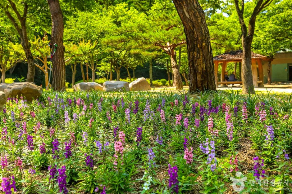 대구앞산공원 여행 추천 - 로드트립
