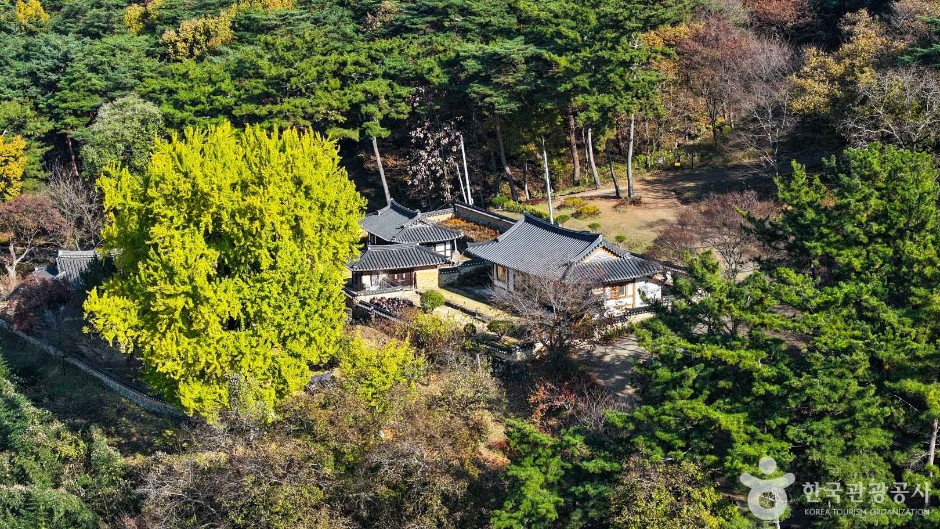 금시당 여행 추천 - 로드트립