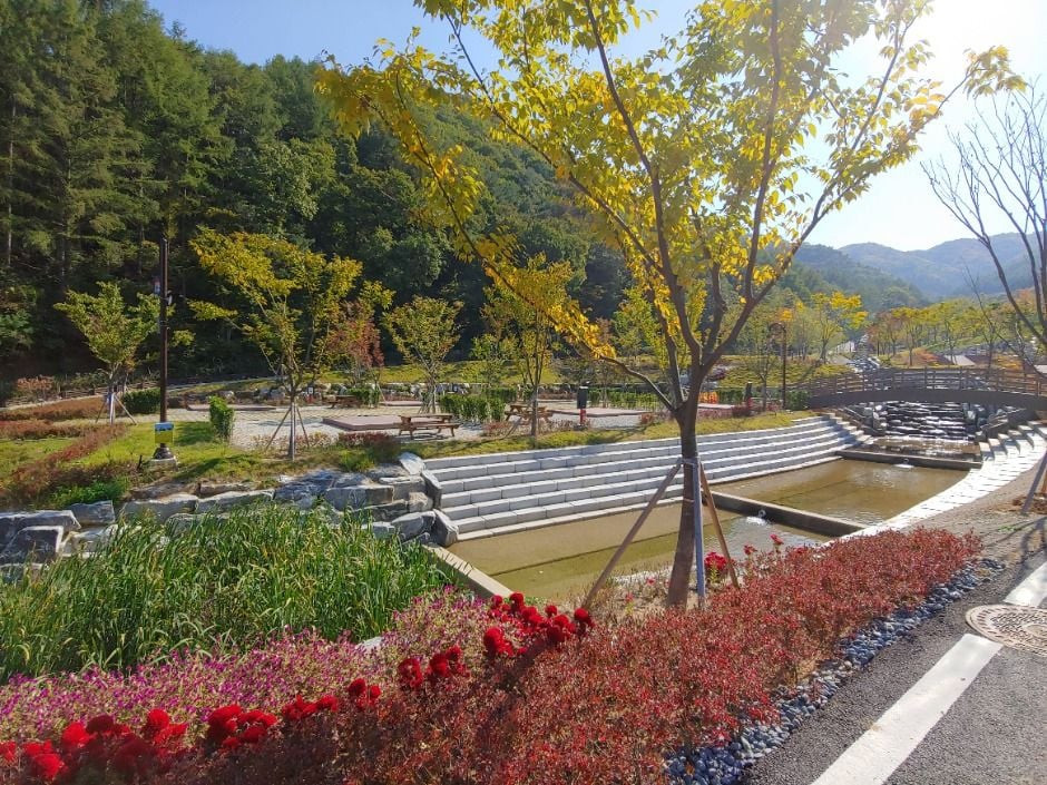 서운산자연휴양림 여행 추천 - 로드트립