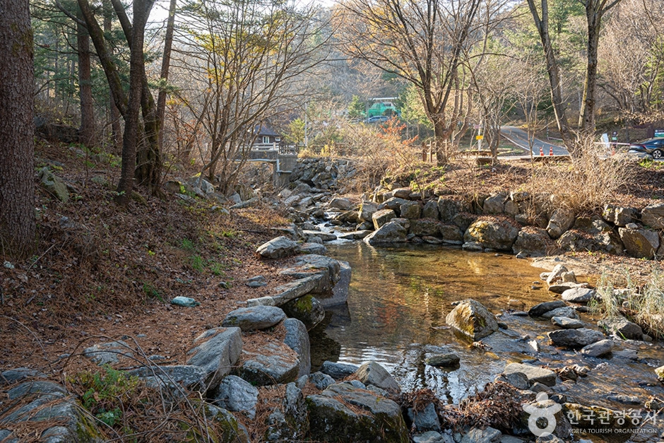 유명산계곡 여행 추천 - 로드트립