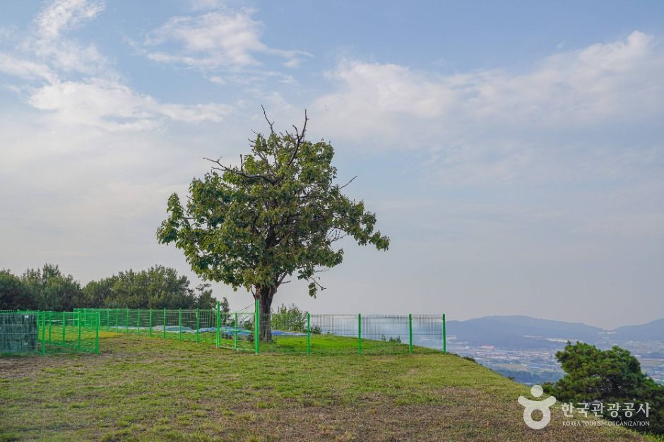 죽주산성 여행 추천 - 로드트립