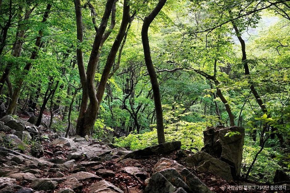 계룡산국립공원 여행 추천 - 로드트립