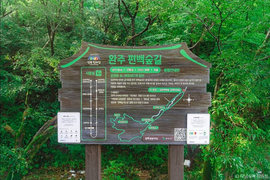 상관 공기마을 편백숲 여행 추천 - 로드트립