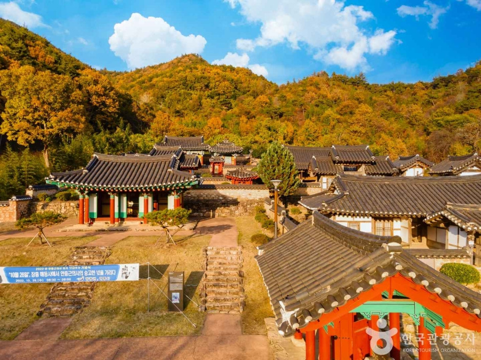 해동사 여행 추천 - 로드트립