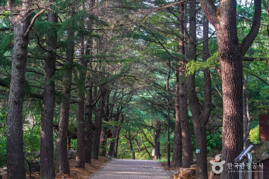 팔공산국립공원(동화사지구) 여행 추천 - 로드트립