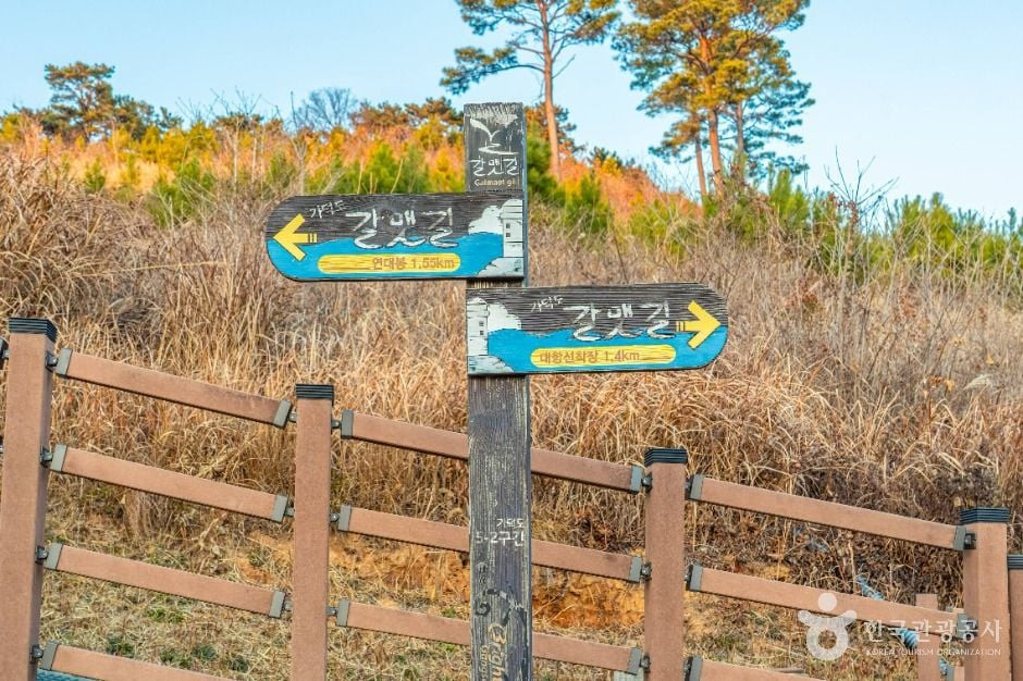 [부산 갈맷길] 5코스 여행 추천 - 로드트립