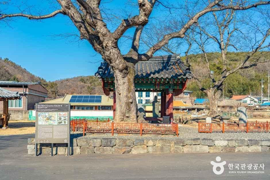 함안 대산리 석조삼존상 여행 추천 - 로드트립