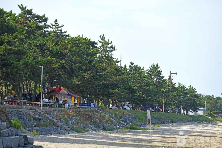 해리마을 여행 추천 - 로드트립