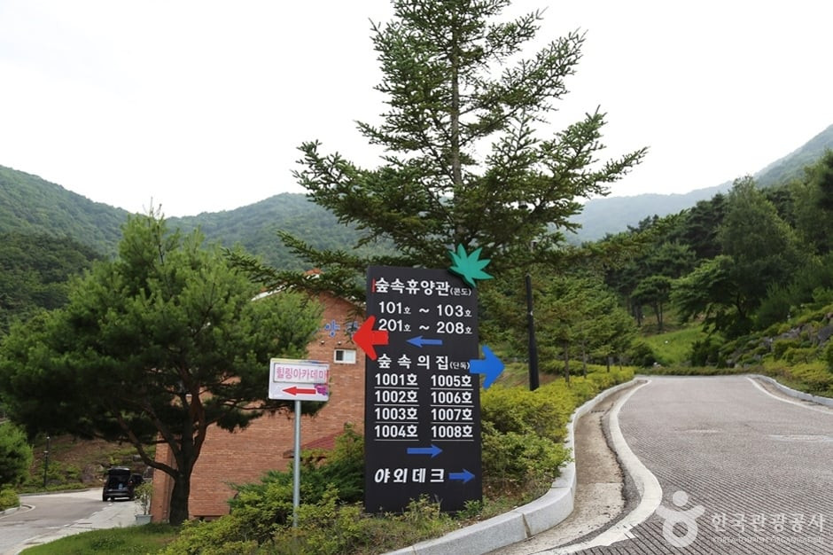 동의보감촌한방자연휴양림 여행 추천 - 로드트립