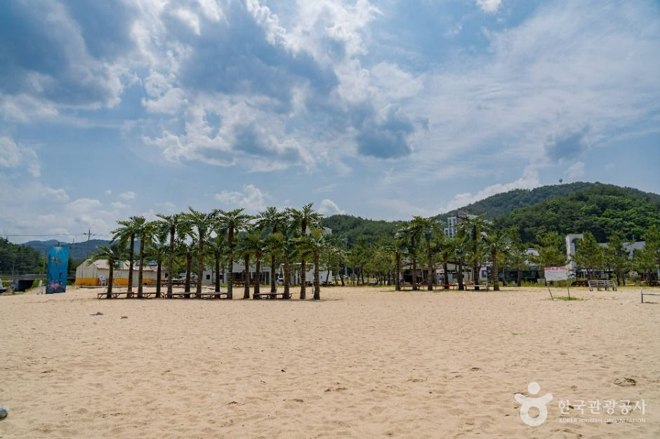 기사문해수욕장 여행 추천 - 로드트립