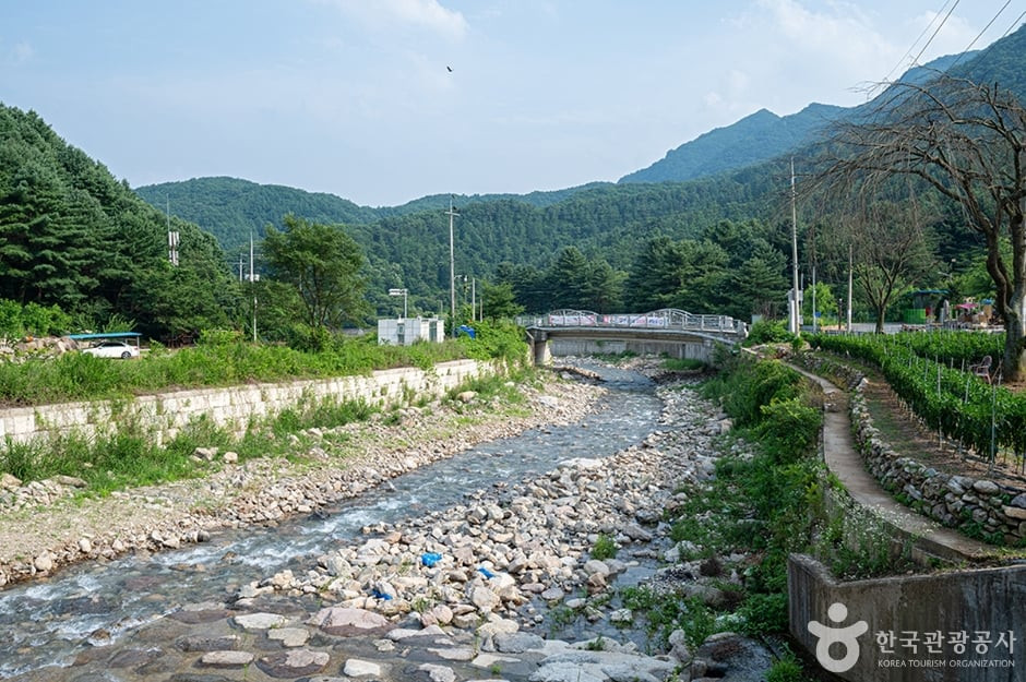 지장계곡 여행 추천 - 로드트립