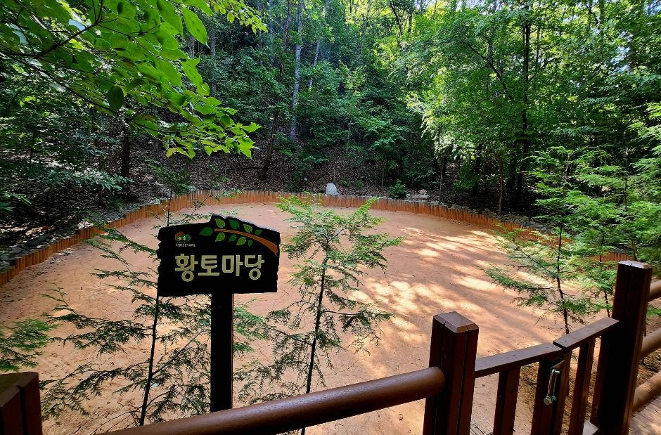 국립대운산치유의숲 여행 추천 - 로드트립