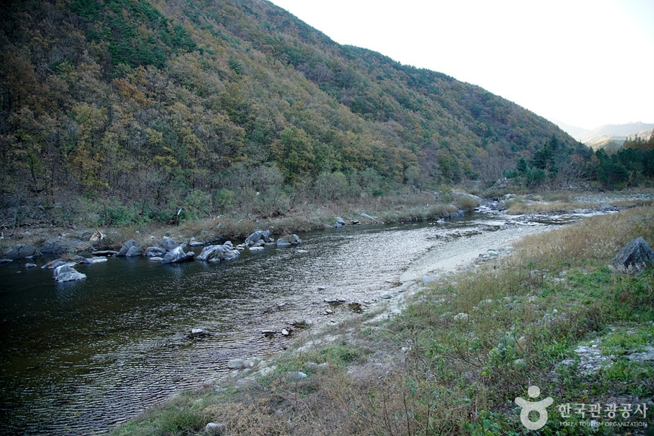 남대천(강릉) 여행 추천 - 로드트립