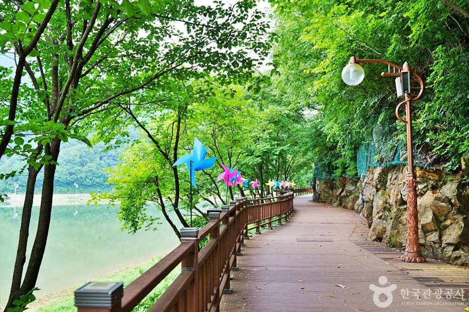 단양 상상의 거리 여행 추천 - 로드트립