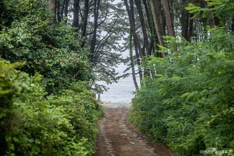 띠섬목해변 여행 추천 - 로드트립