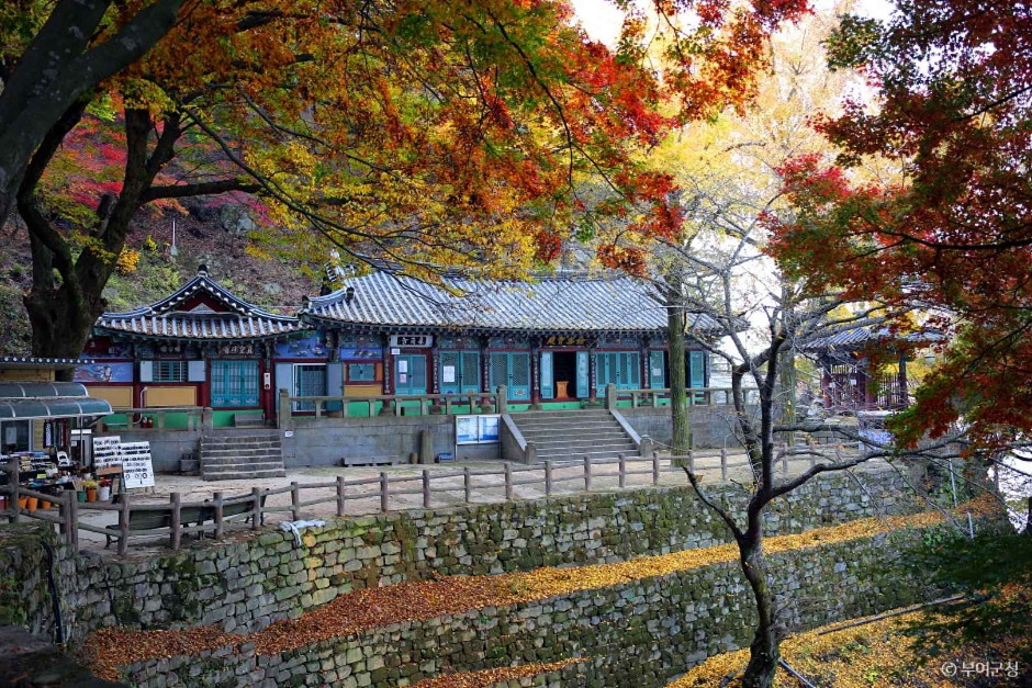 낙화암 여행 추천 - 로드트립