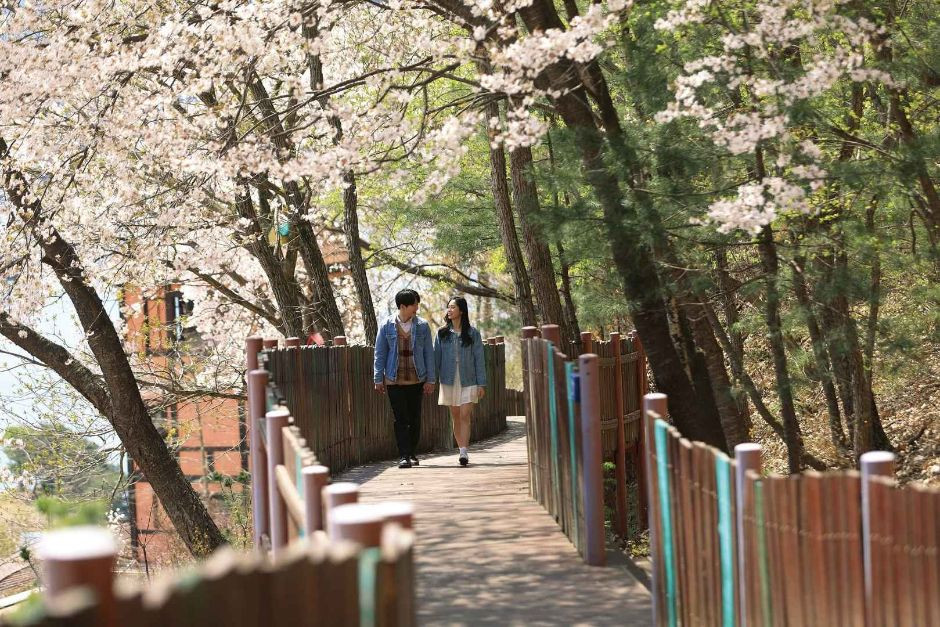 쁘띠프랑스 여행 추천 - 로드트립