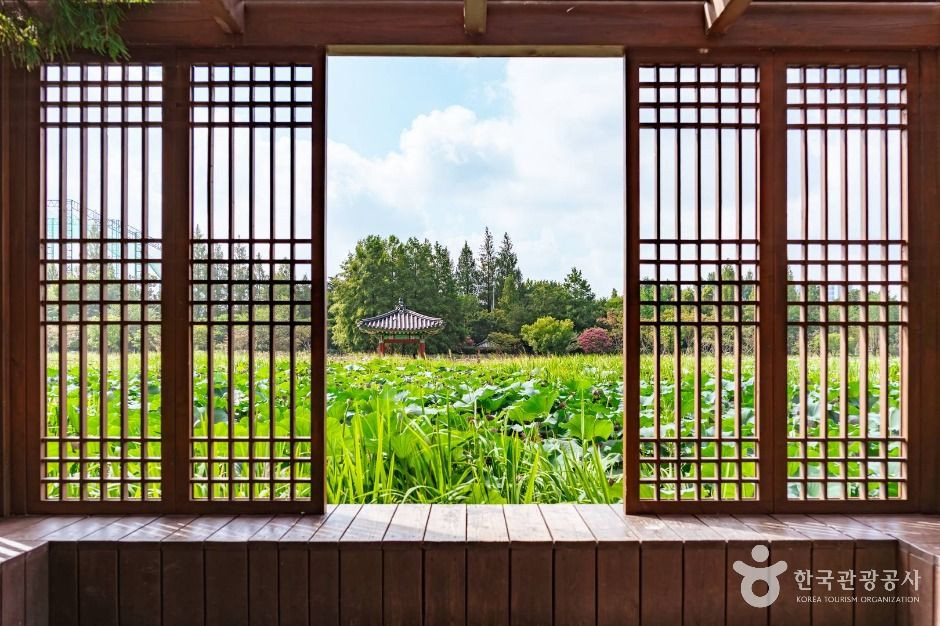 덕진공원 여행 추천 - 로드트립