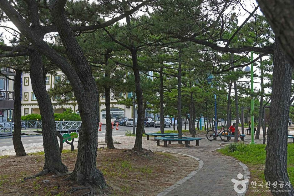강릉 안목해맞이공원 여행 추천 - 로드트립