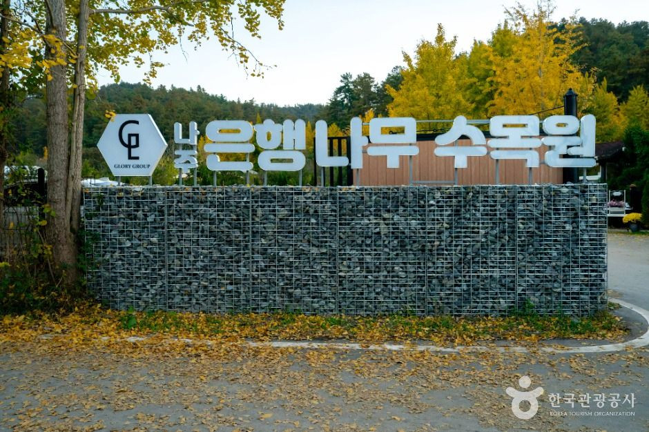나주은행나무수목원 여행 추천 - 로드트립