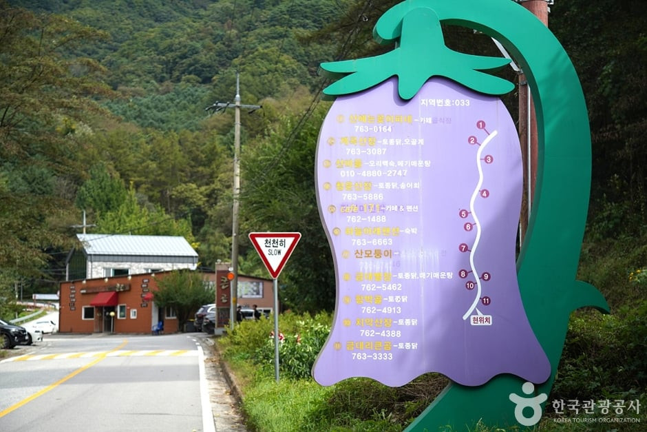 금대계곡 여행 추천 - 로드트립