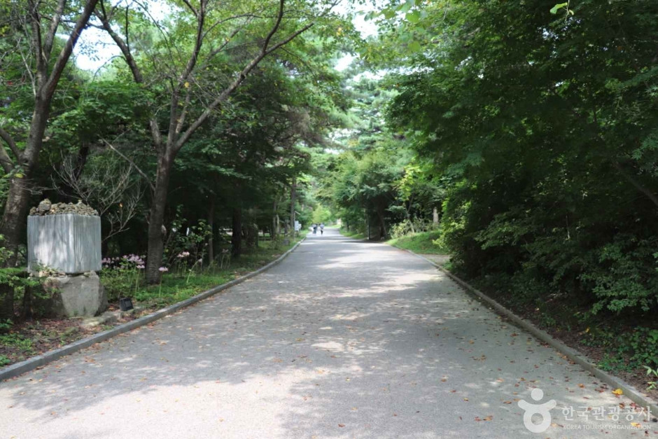 덕숭산 여행 추천 - 로드트립