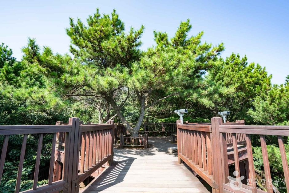 여차홍포해안도로전망대 여행 추천 - 로드트립