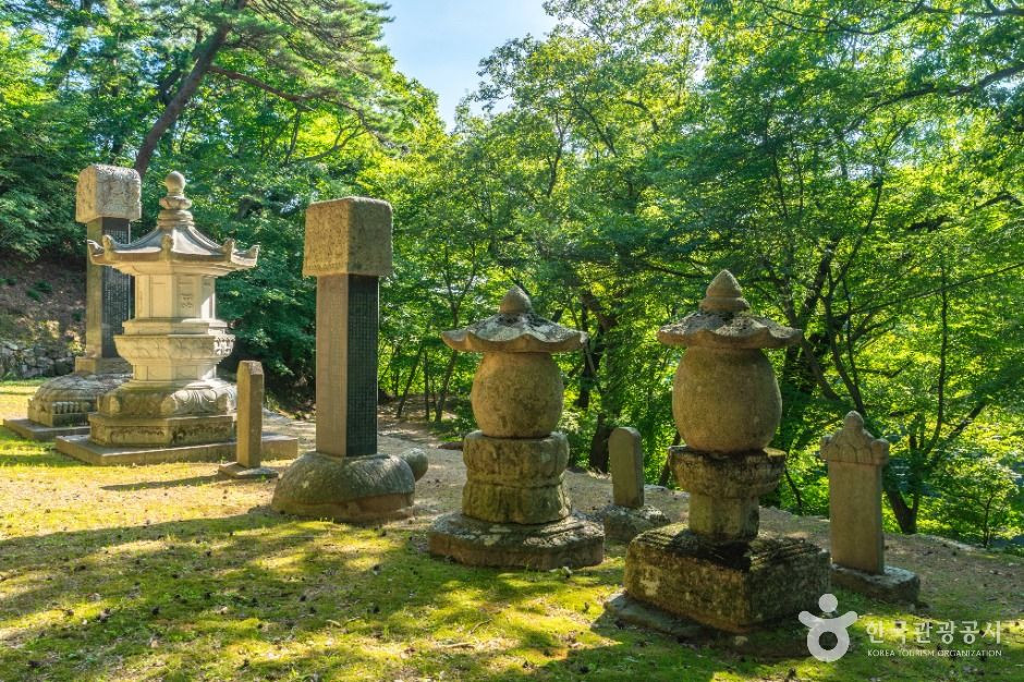 회진당원의대사지비 여행 추천 - 로드트립