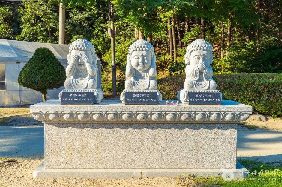 용학사 여행 추천 - 로드트립