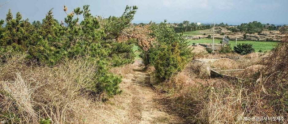 둔지봉 여행 추천 - 로드트립